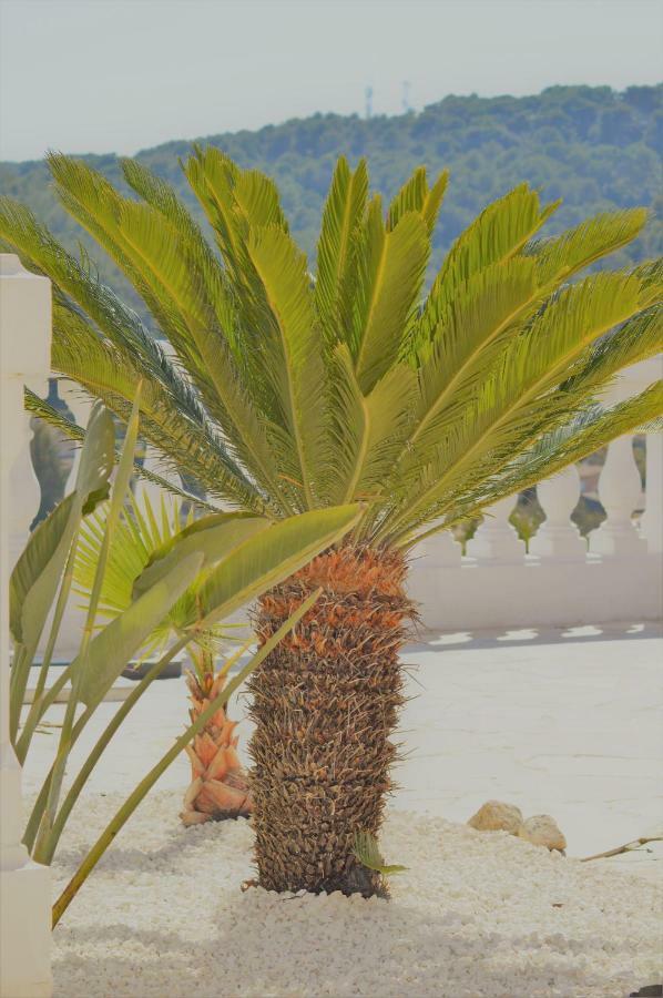 Villa La Terre Des Lauriers Vallauris Exteriér fotografie